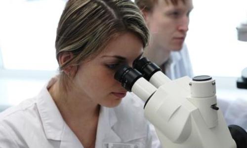 Ульяновские педагогический и технический университеты запустили совместную программу магистратуры по профилю «Биоинформатика и системная биология»