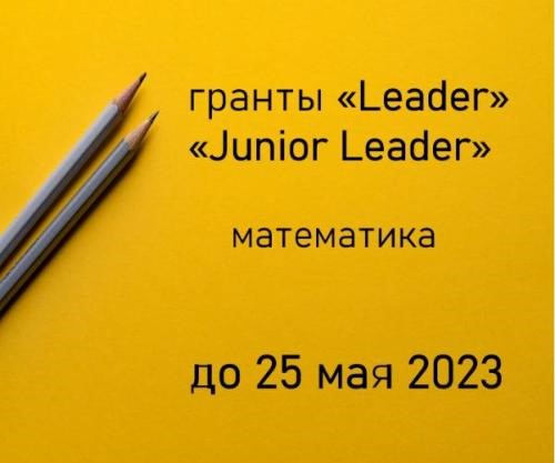 Гранты «Leader» и «Junior Leader» для научных групп (фундаментальная математика)